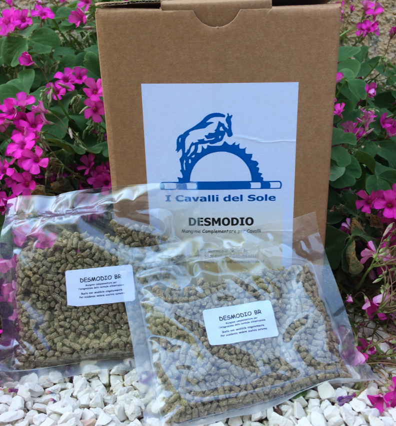 Desmodio per il fegato degli animali anziani