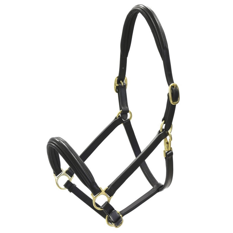 CAVEZZA PROFILATA IN CUOIO