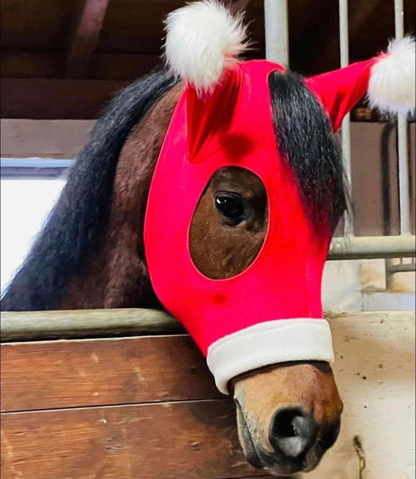 Maschera natalizia con pompon