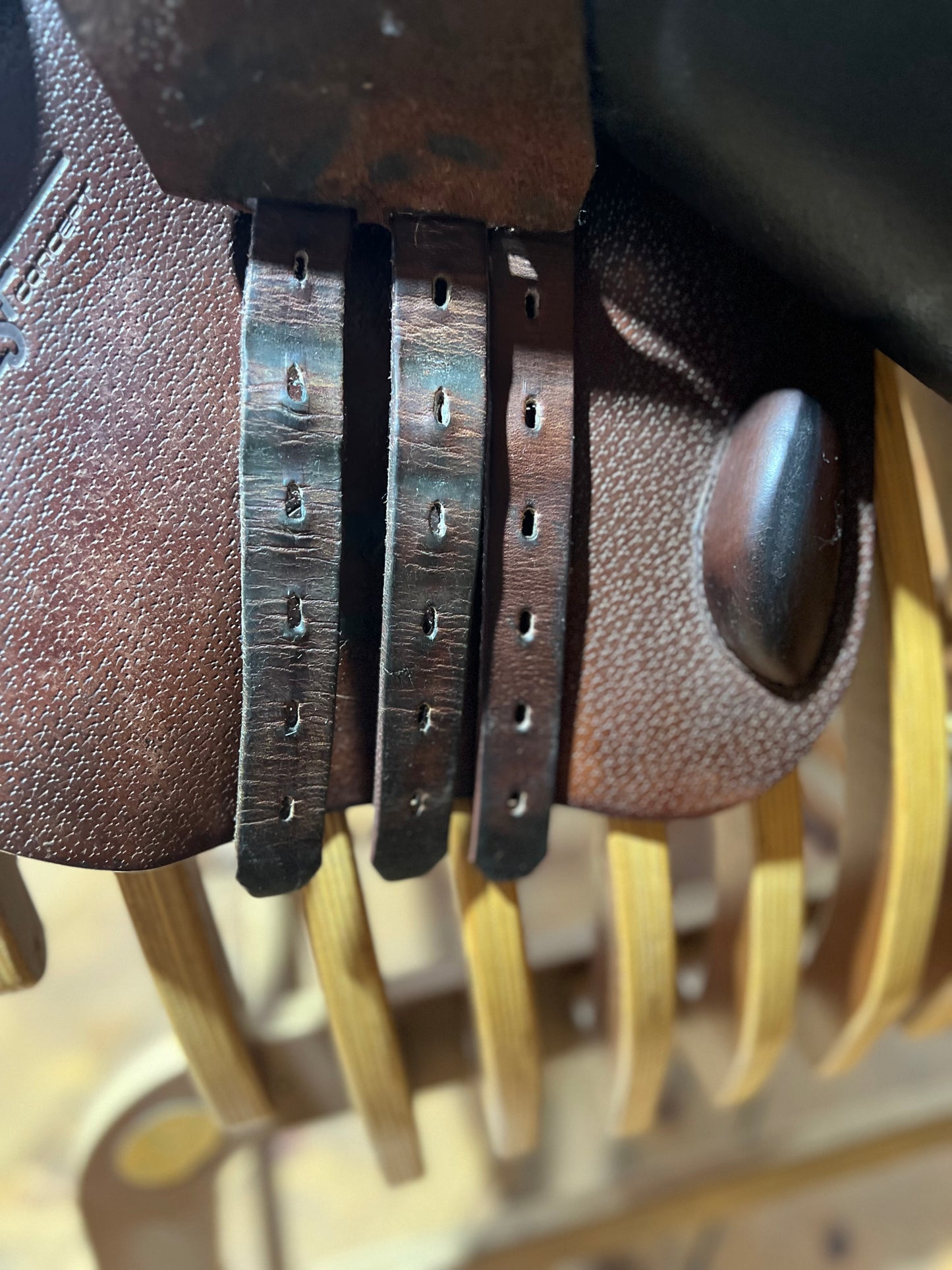 Sella Prestige Michael Robert -Usata