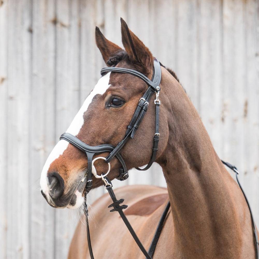 Testiera Anatomica per Cavallo Horsena senza redini