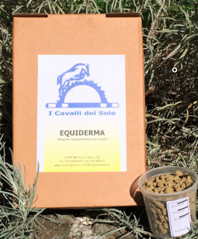 Equiderma "I CAVALLI DEL SOLE"