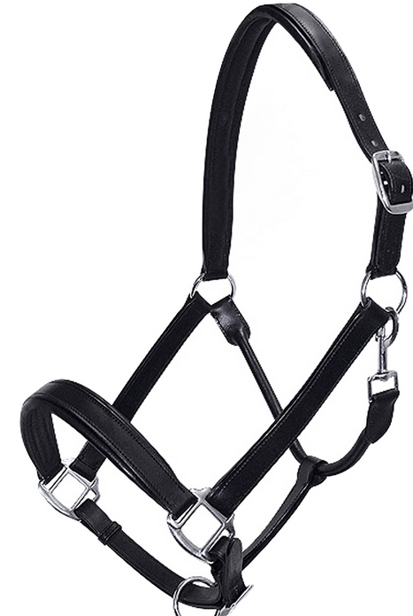 Capezza in cuoio imbottita