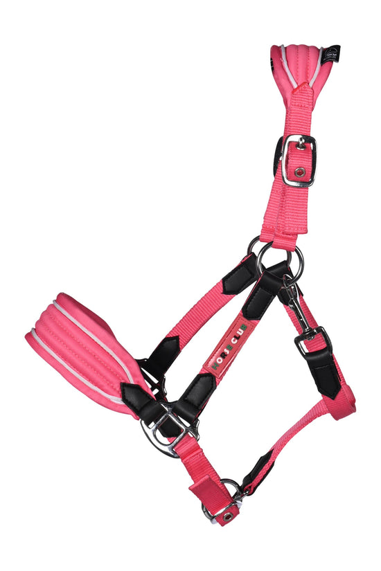 Cavezza HKM