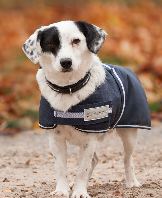 Cappottino per Cani COMFORT