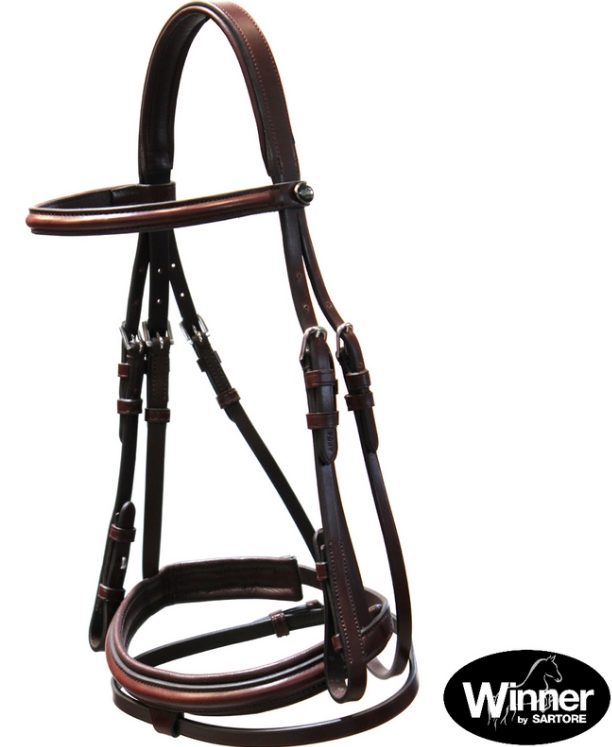 Briglia Gold  completi di redini