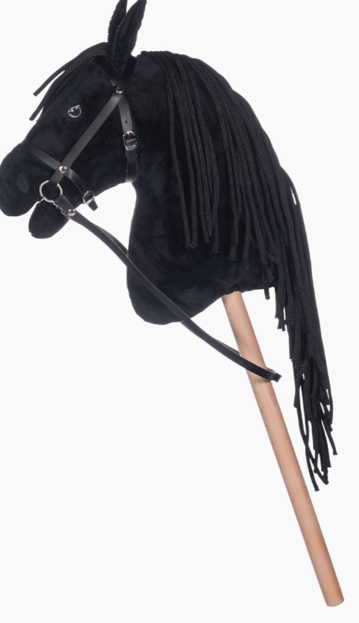 Cavallino giocattolo Hobby Horse