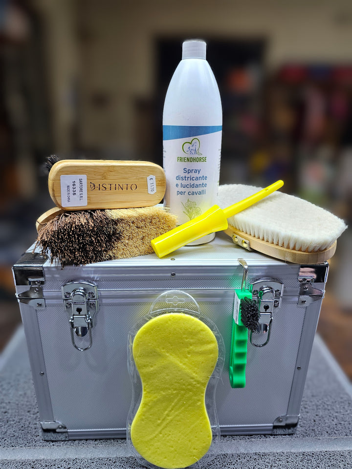 Kit pulizia GOLD