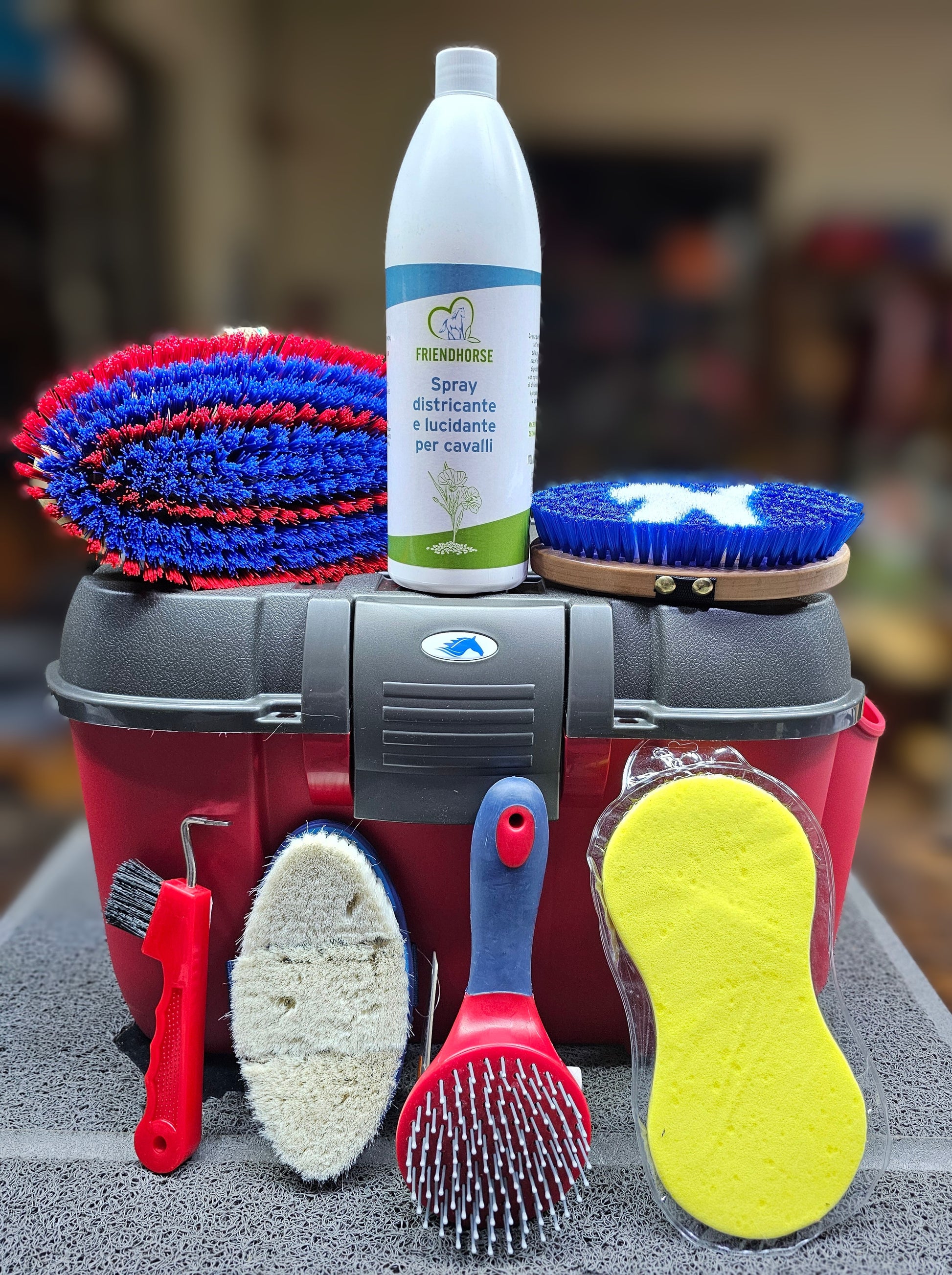 Kit pulizia SILVER