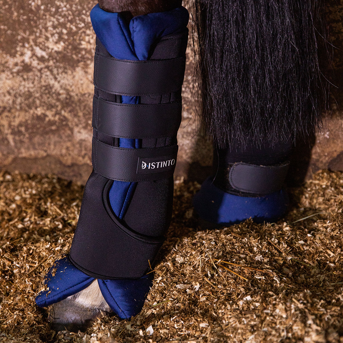 SET 4 STABLE BOOTS D·ISTINTO