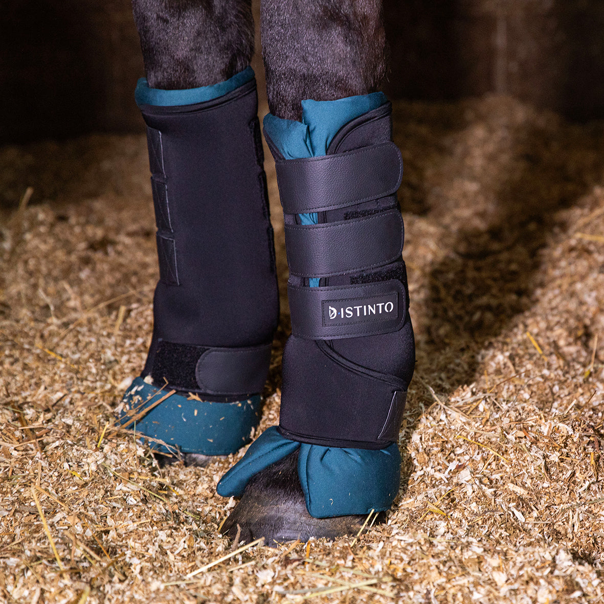 SET 4 STABLE BOOTS D·ISTINTO