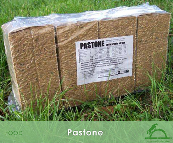 Pastone invernale