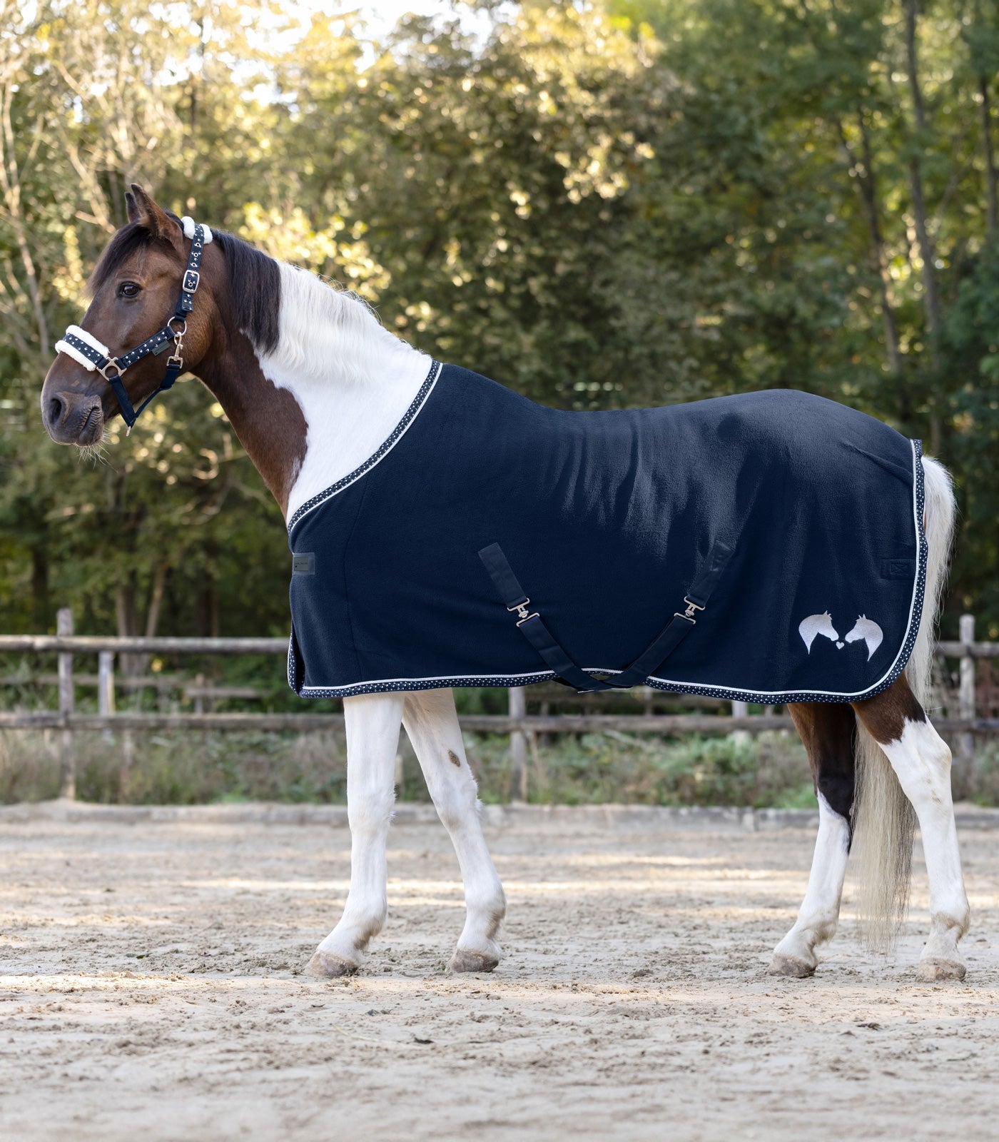 Coperta in pile Lucky