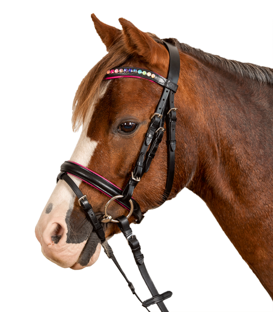 Briglia STAR Pinky