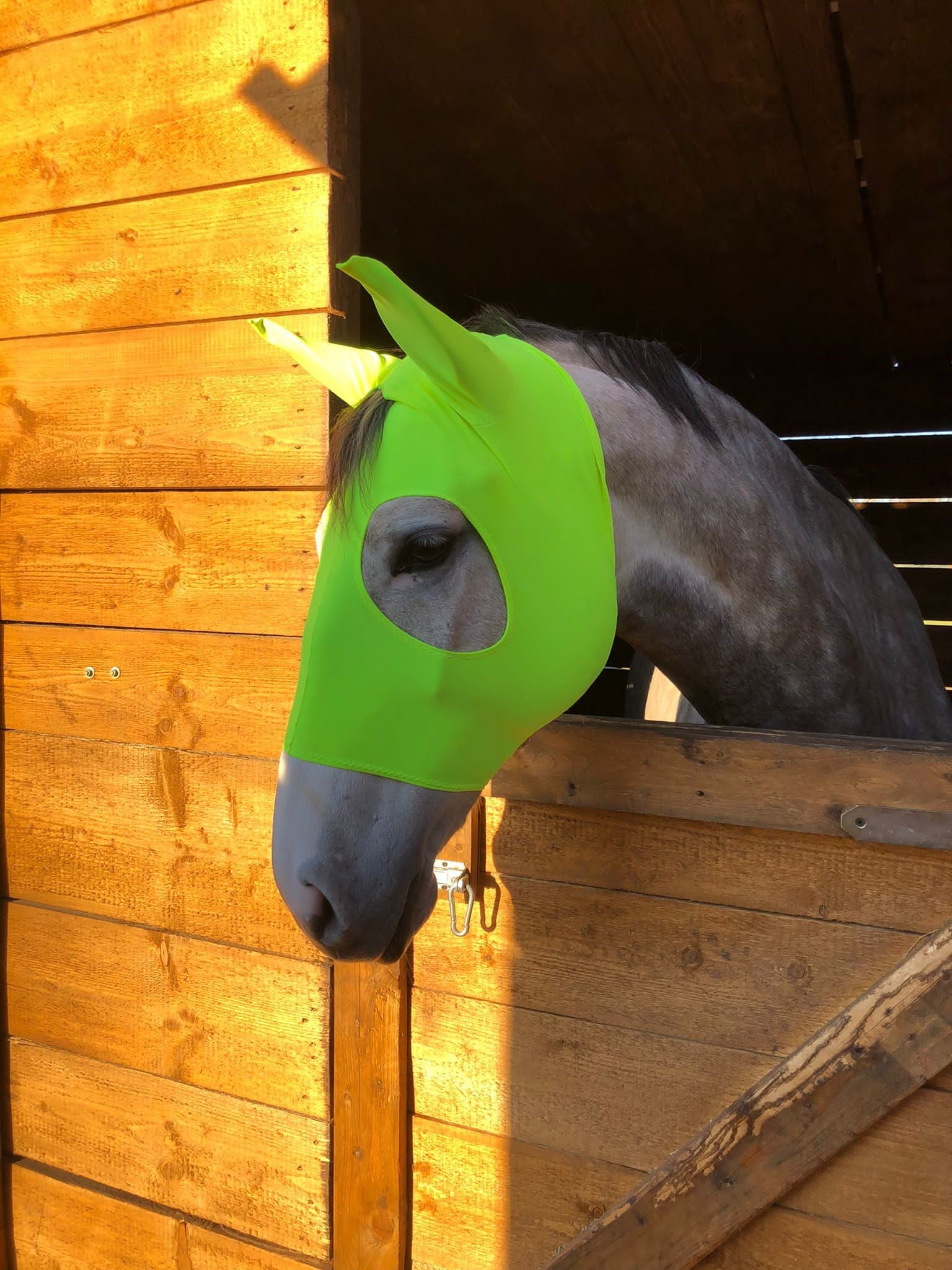 Maschera in lycra