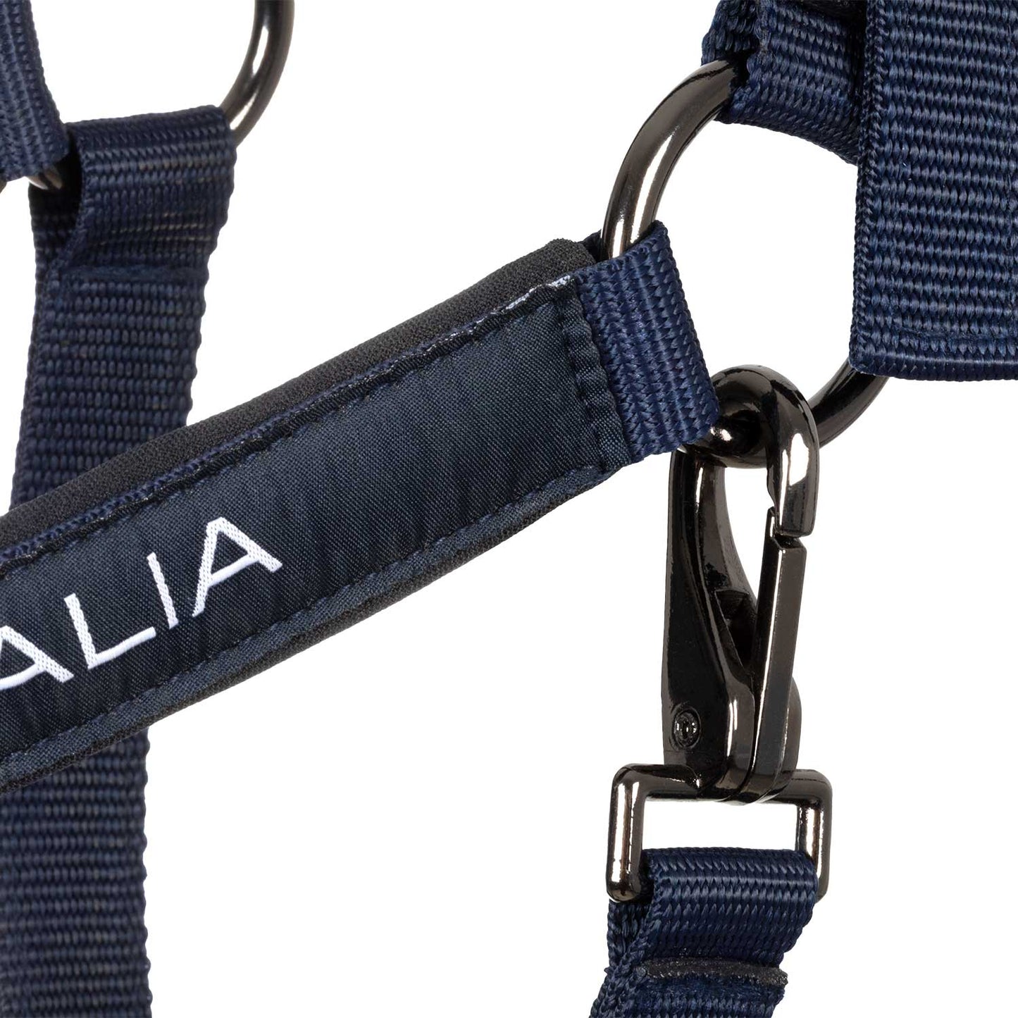 Cavezza imbottita doppia regolazione Equestro X FISE