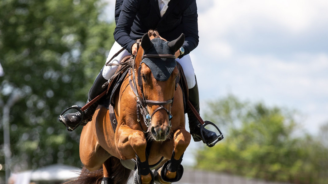 Cavaliere