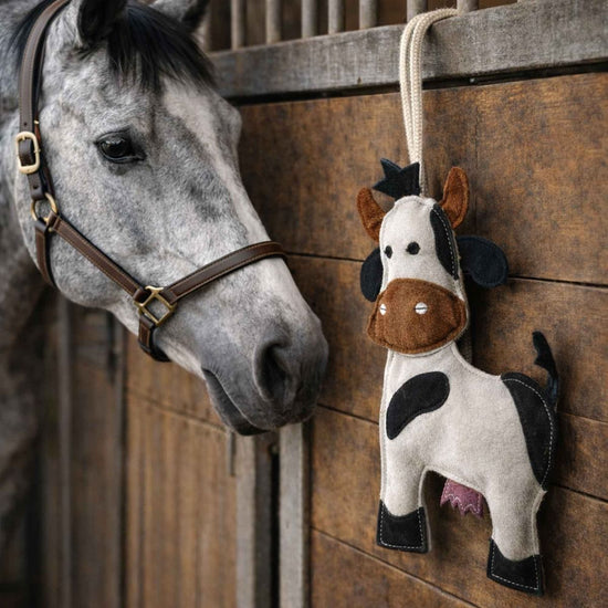 Gioco Da Box Horses Cow