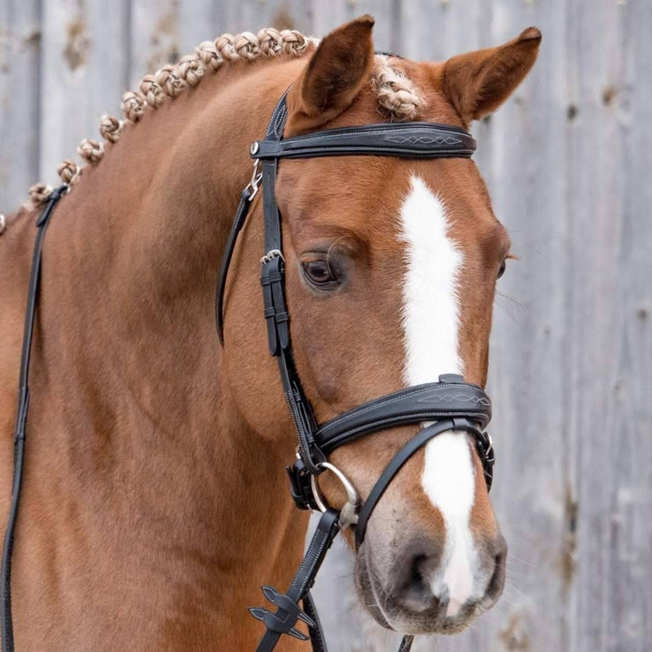 Fancy Wide Testiera Anatomica per Cavallo Horsena