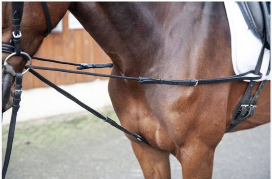 Redini triangolari -Corda-