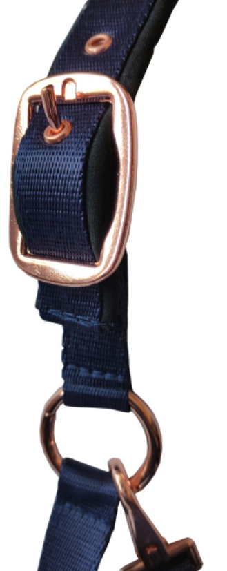 Set Capezza +Longhina Daslo golg