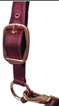 Set Capezza +Longhina Daslo golg