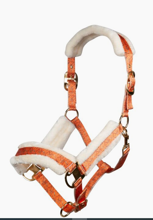 Capezza Allure Cheval HKM