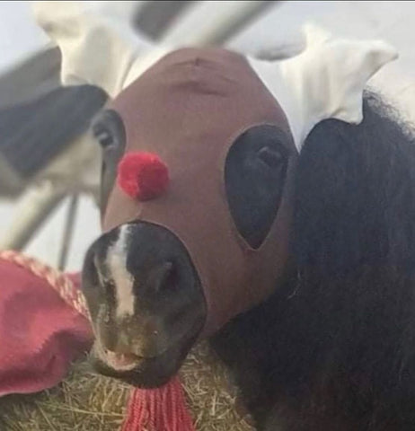 Maschera in lycra natalizia per pony Modello Renna