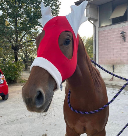 Maschera in lycra natalizia per cavallo Modello Renna